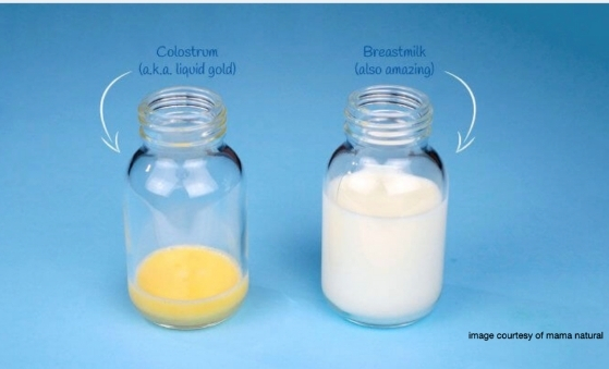 Hand expressing 2024 colostrum nhs